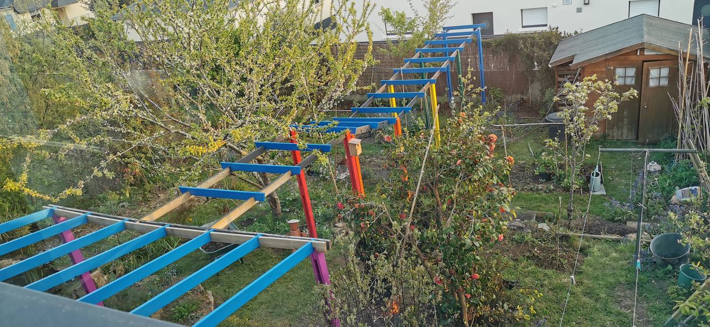 Jardin et Pergola vu de ma chambre