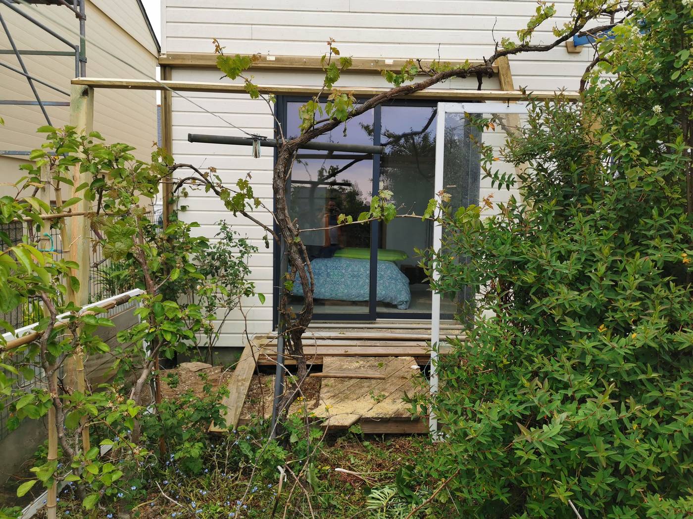 Éclaircissement de la vigne, ça devrais donner bien.