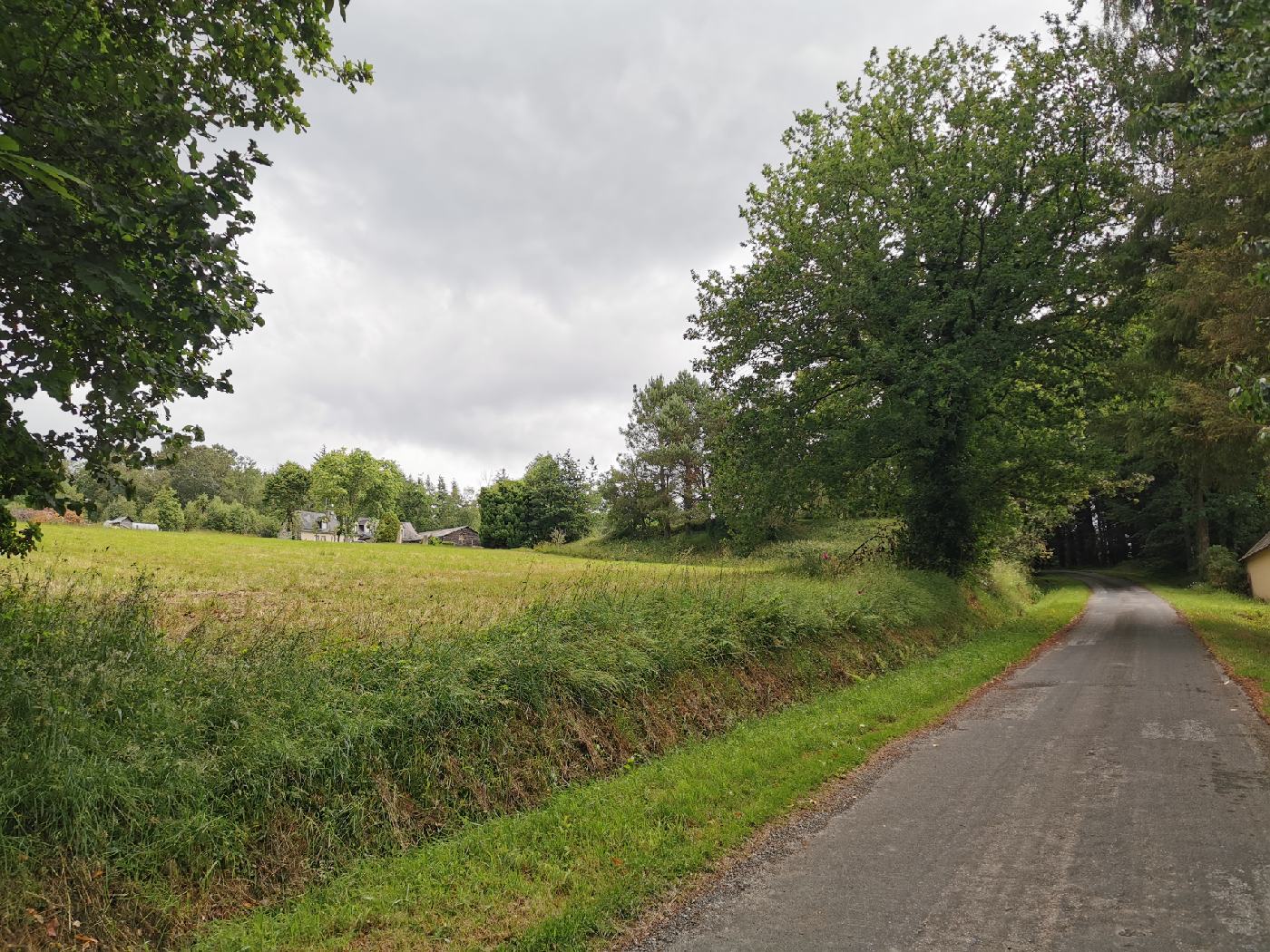 Ce matin c'est route de campagne