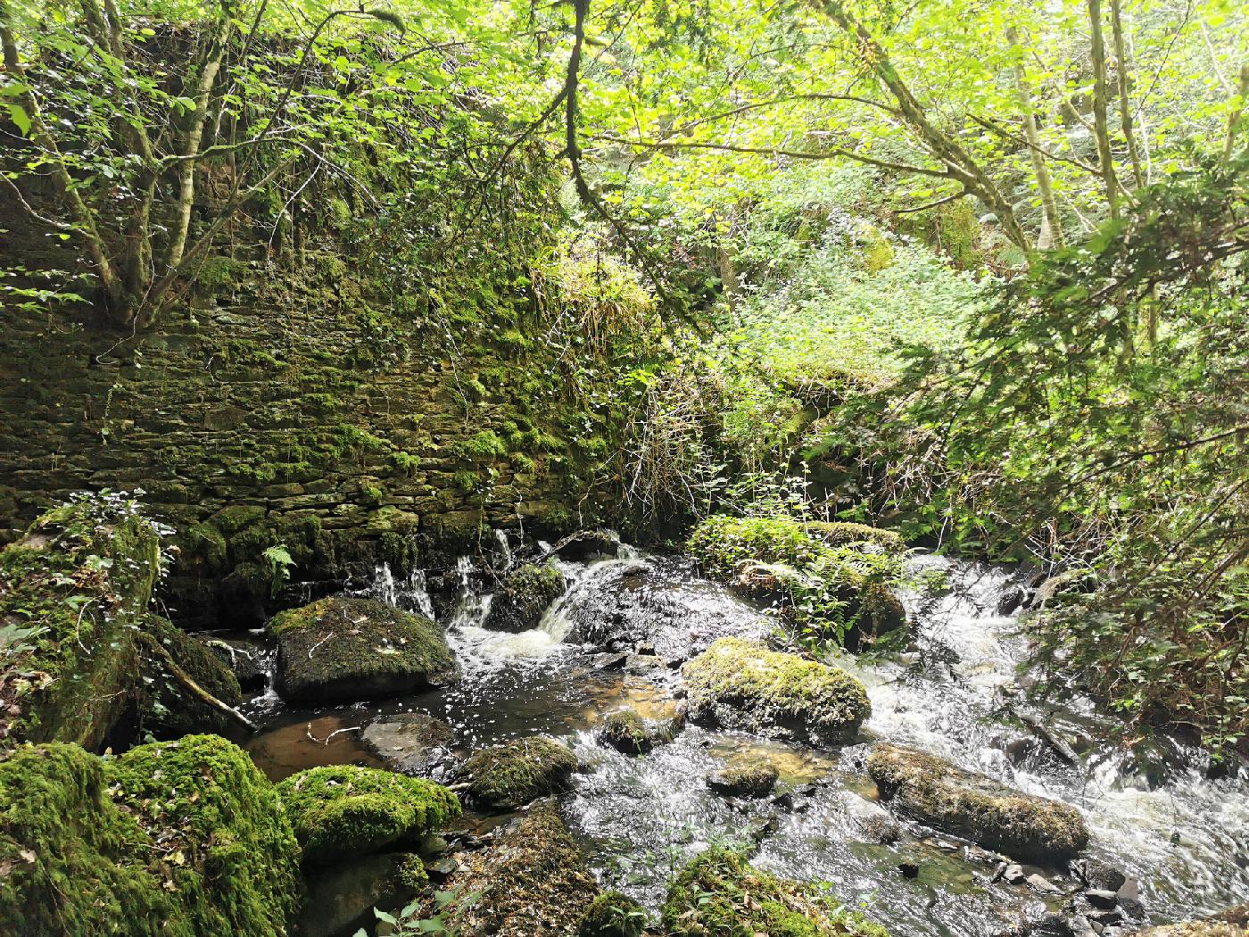 Le Moulin du domaine des salles