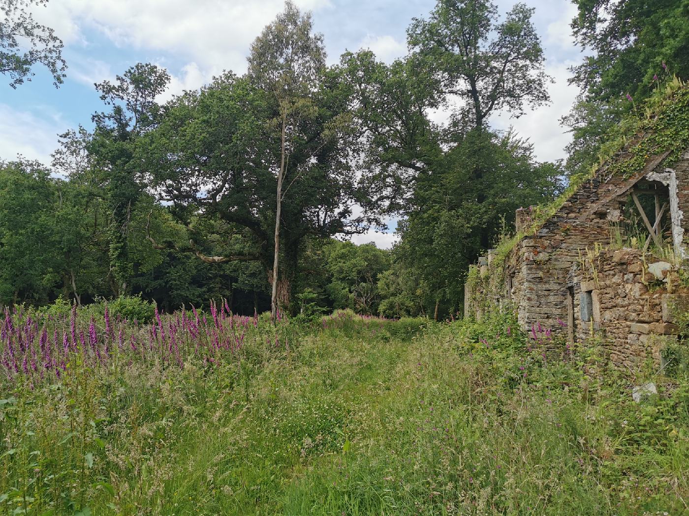 Le Moulin du domaine des salles