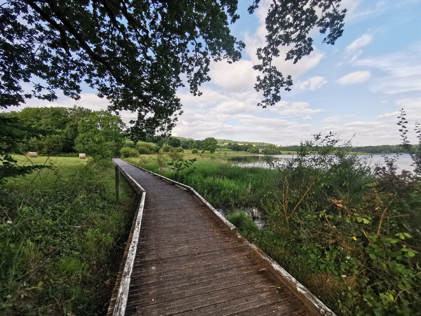 Long sentier sur le marais