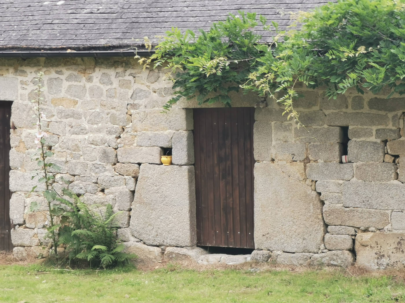 Détaille d'une porte de maison