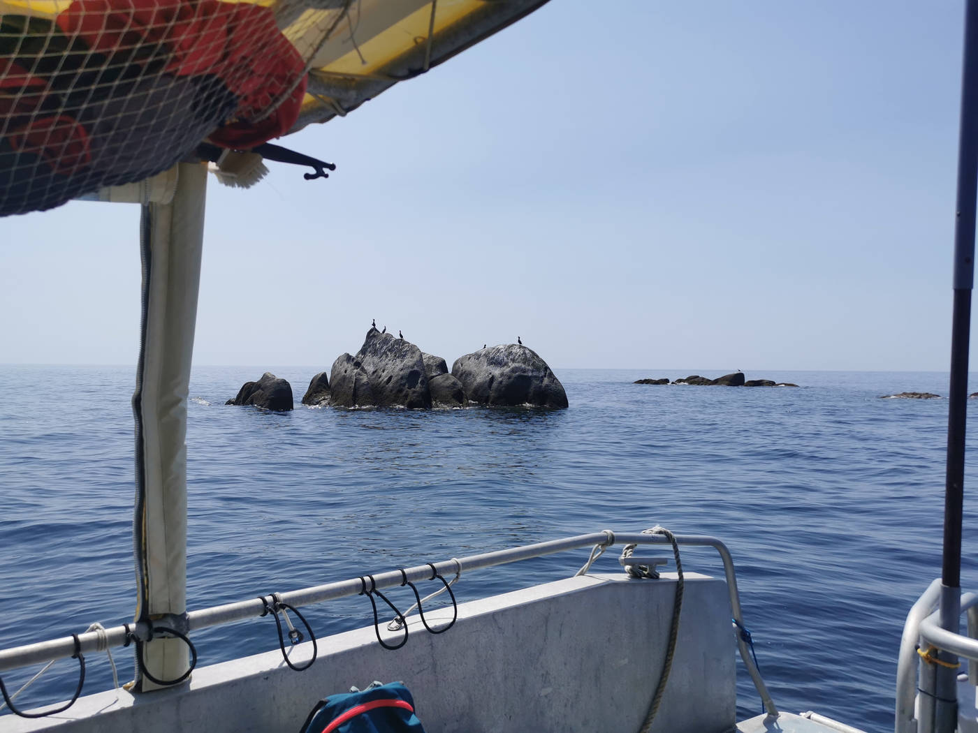 Roche avec les cormorans