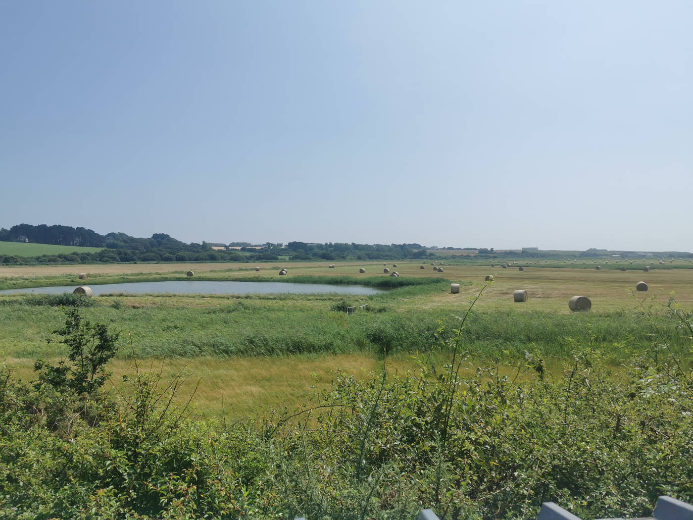 Marais du grand Loch à Guidel plage