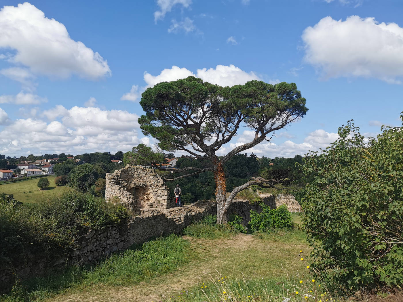 Gregory sur les remparts