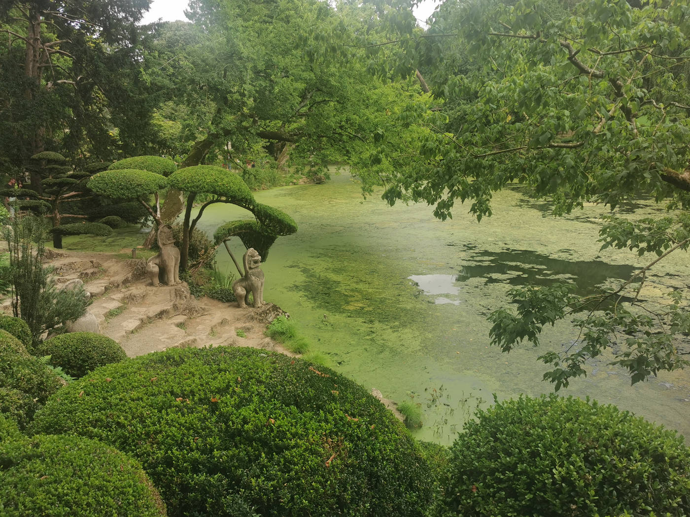 Découpes des arbres