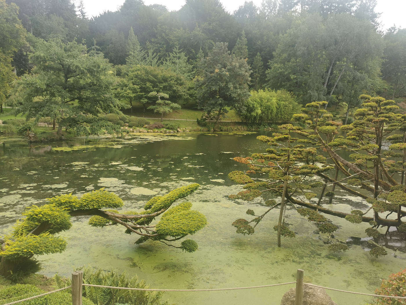 Formes japonaises