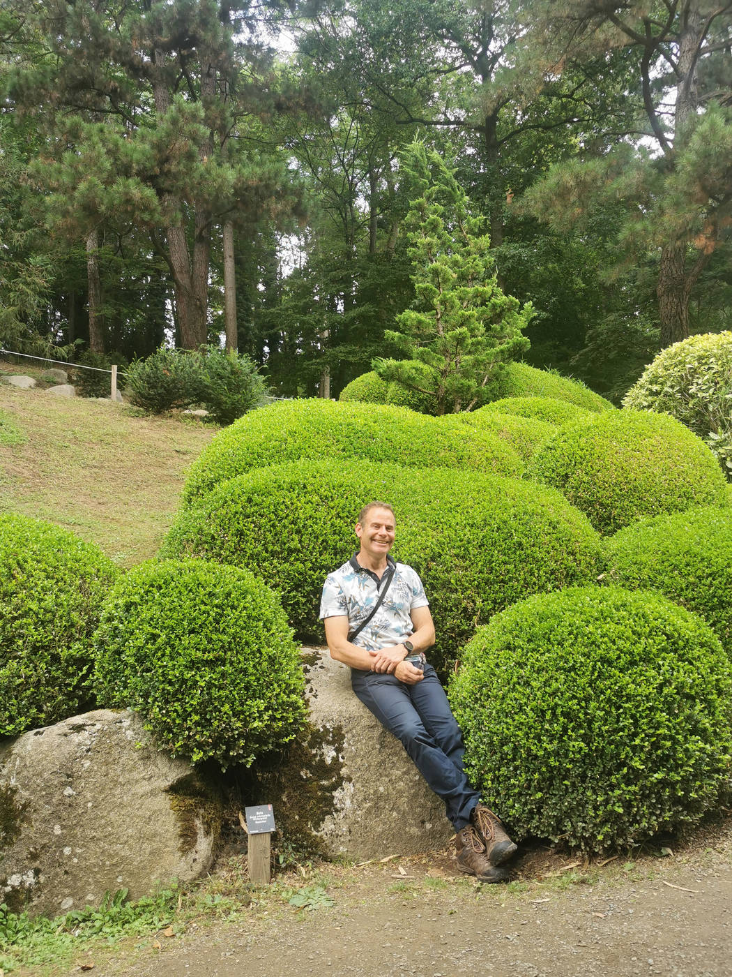 Bertrand devant les haies en boules