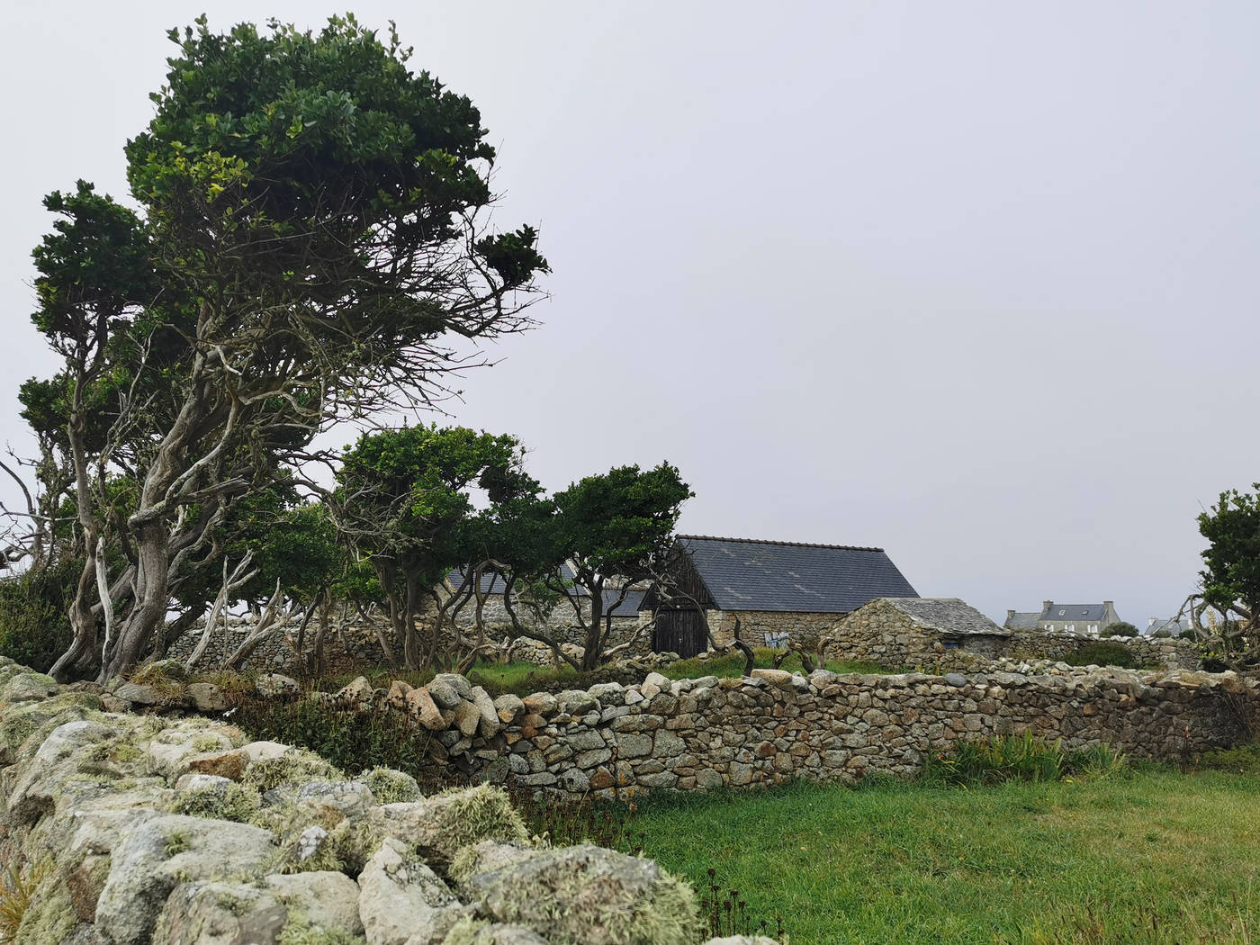 Maison et jardin isolée, balayé par le vent