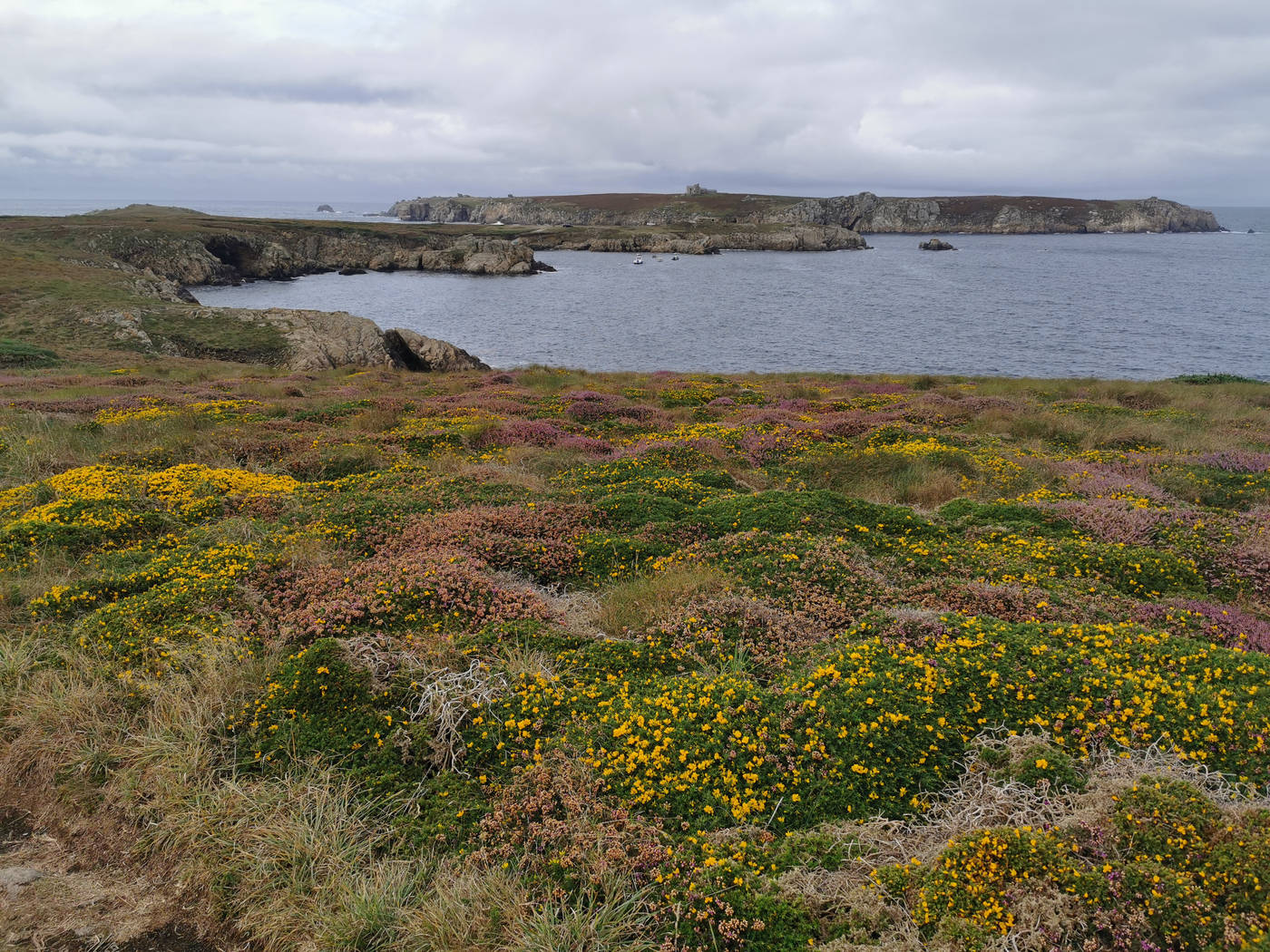 Vue sur l'ile de Keller