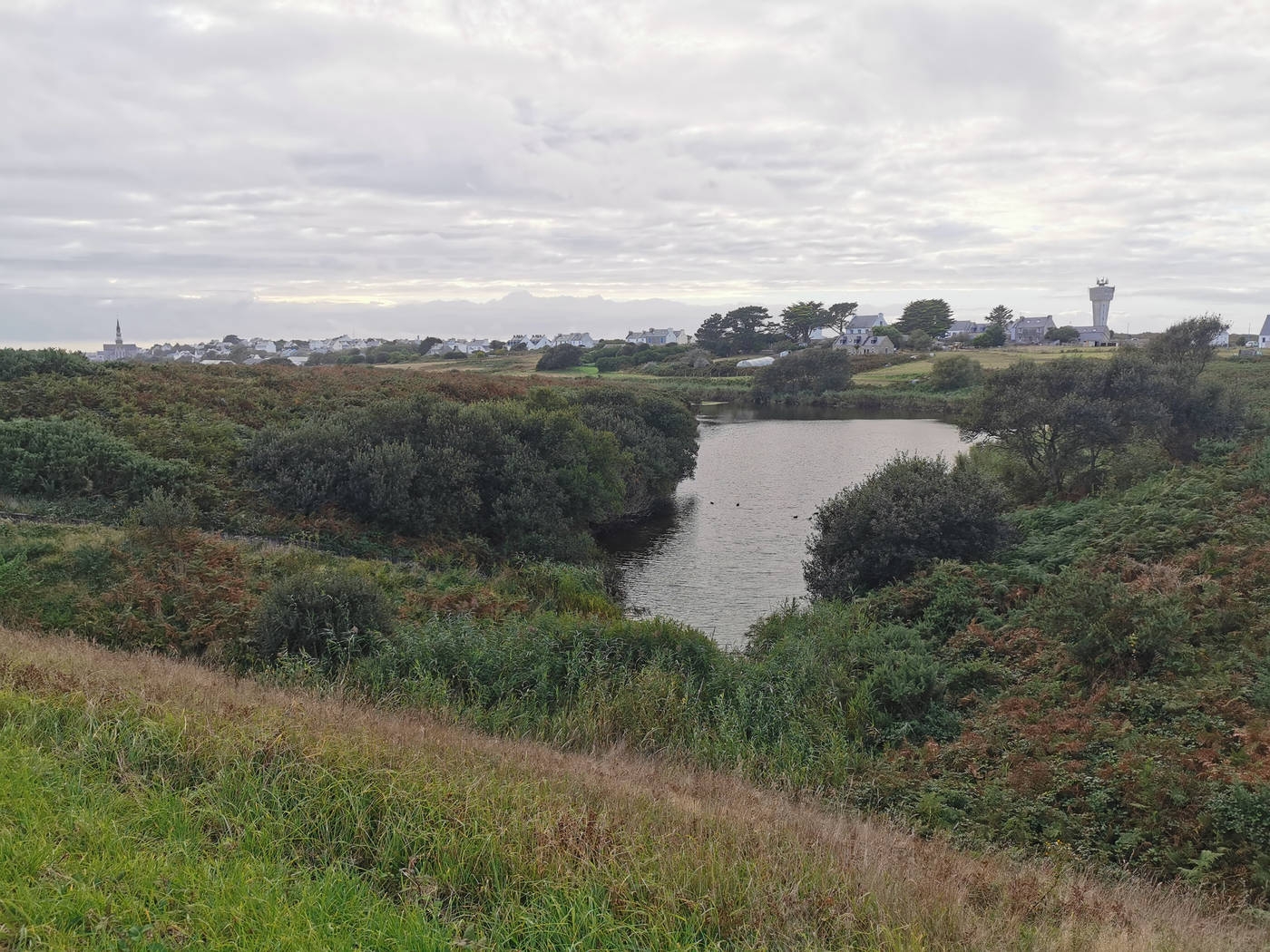 Retour par la réserve d'eau au milieu de l'ile