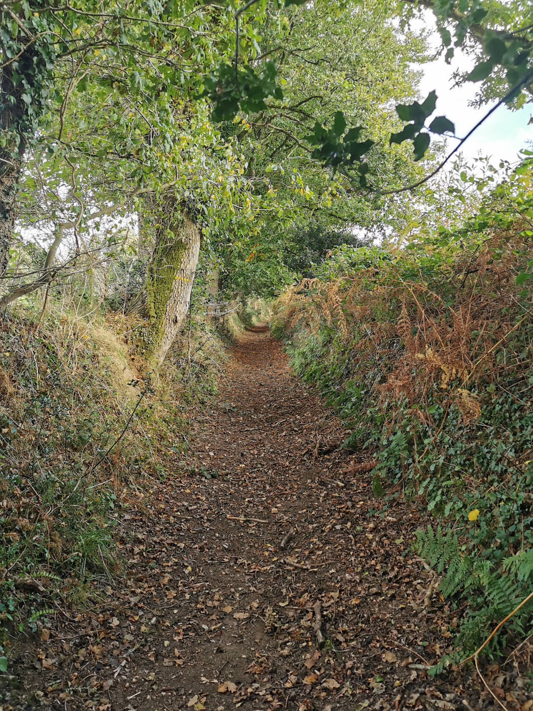 Sentier creux vers La Motte