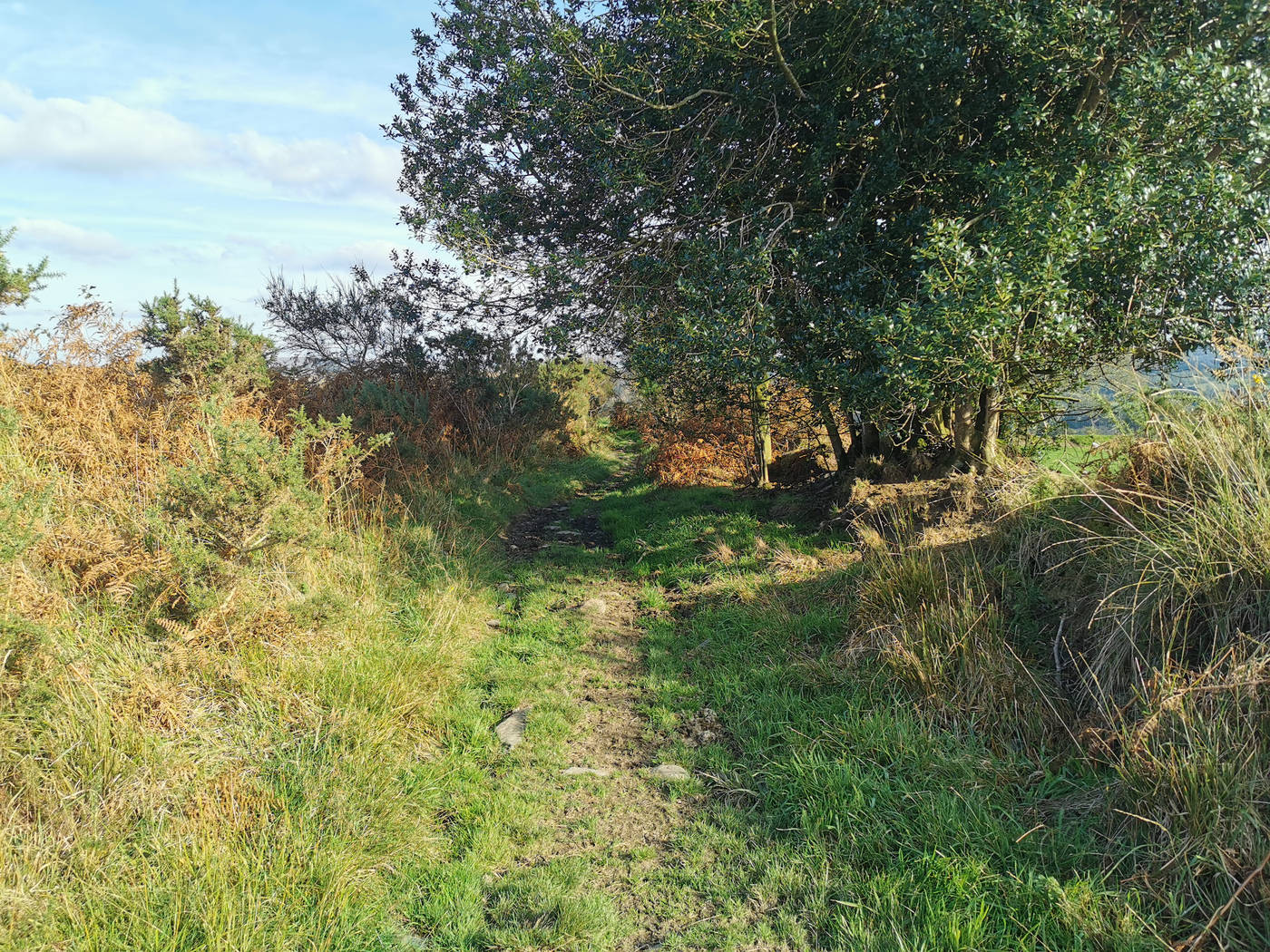 Encore un autres type de sentier