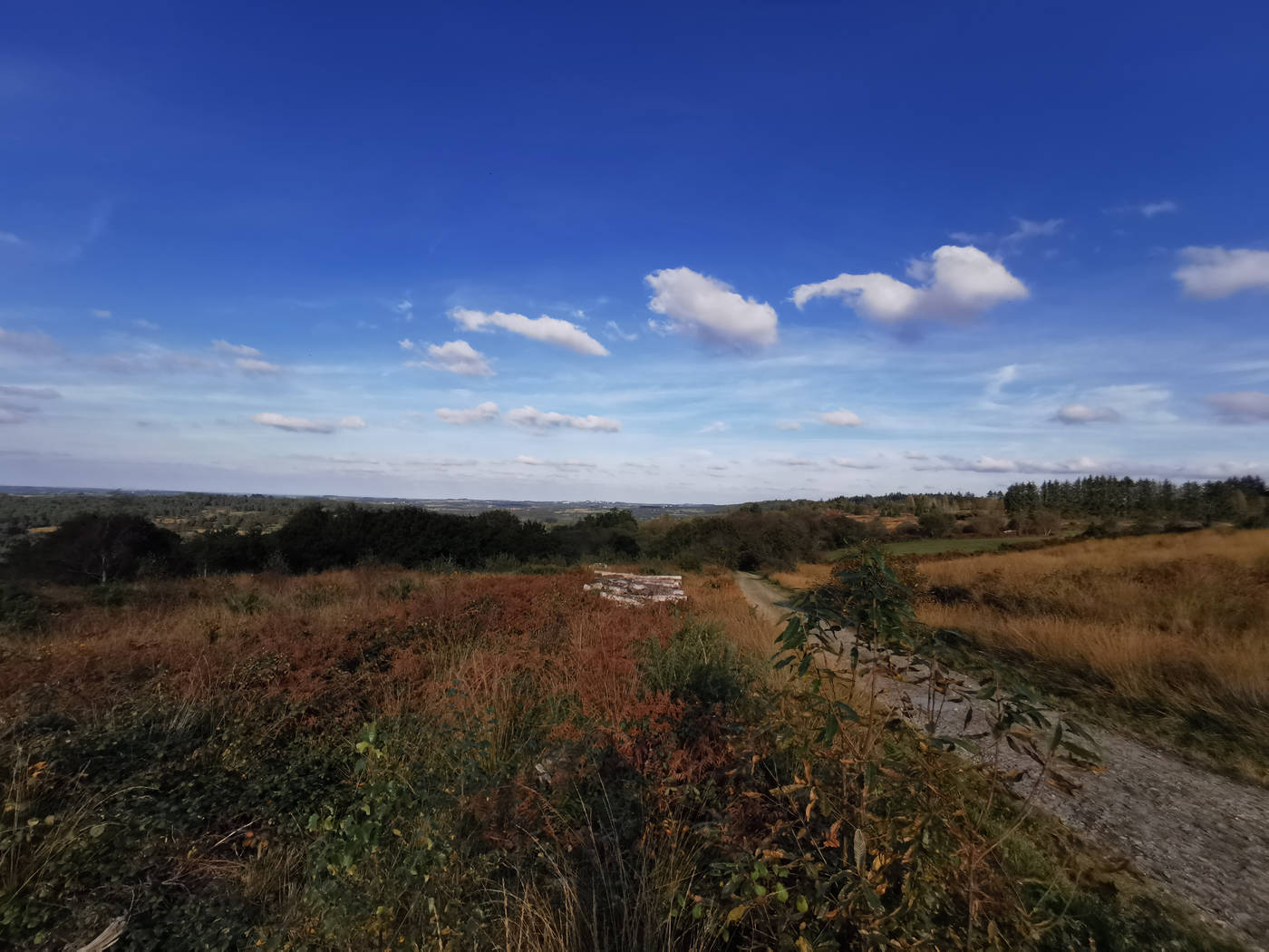 Vue du sommet