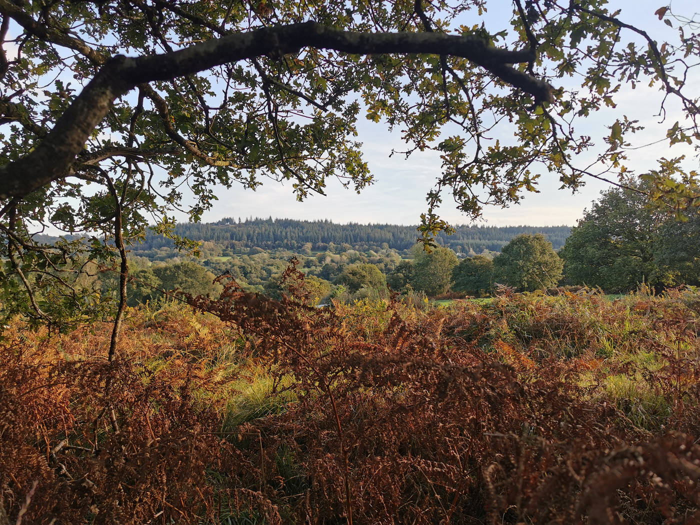 C'est l'automne