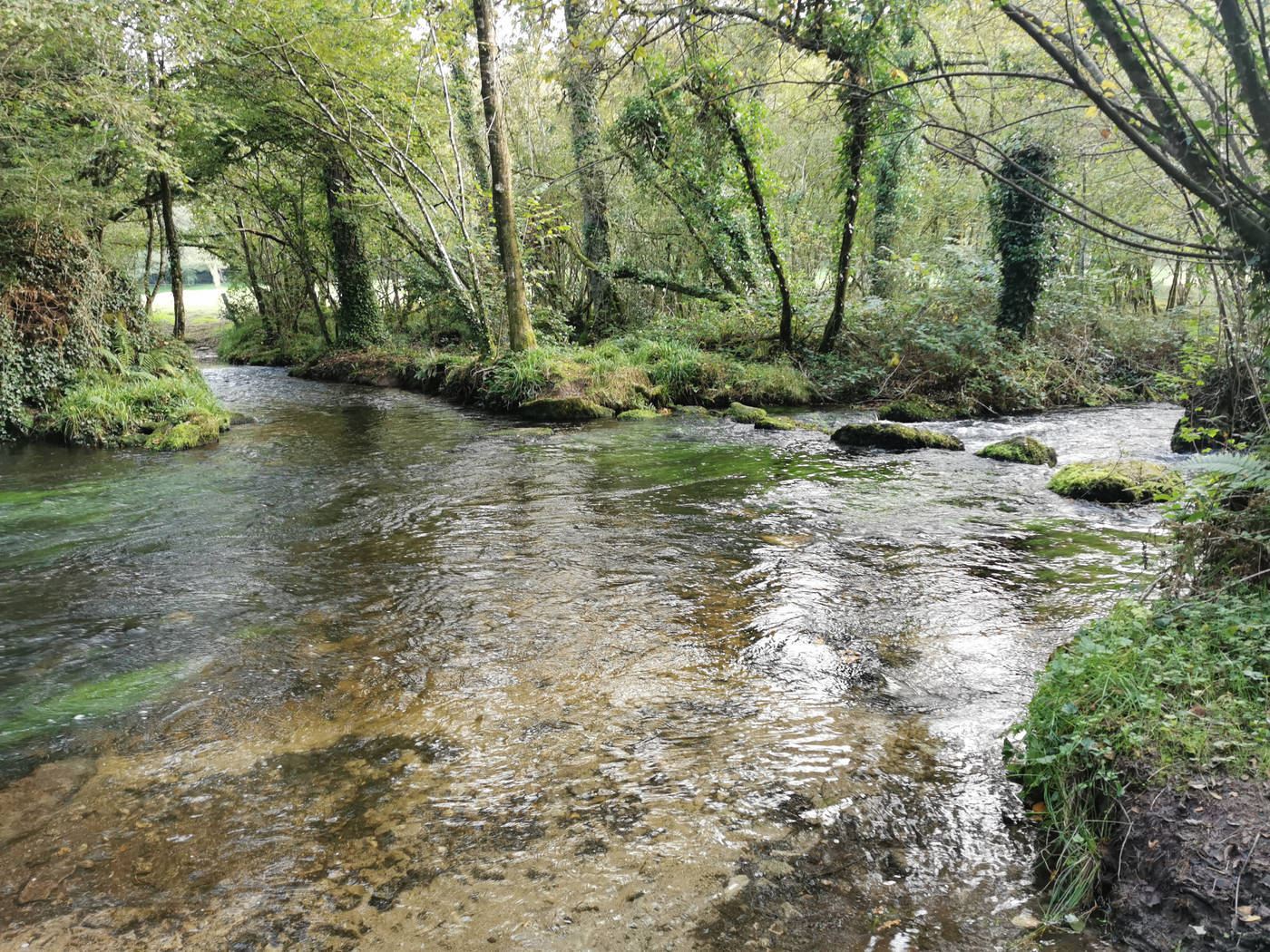 Retour le long de l'Elorn