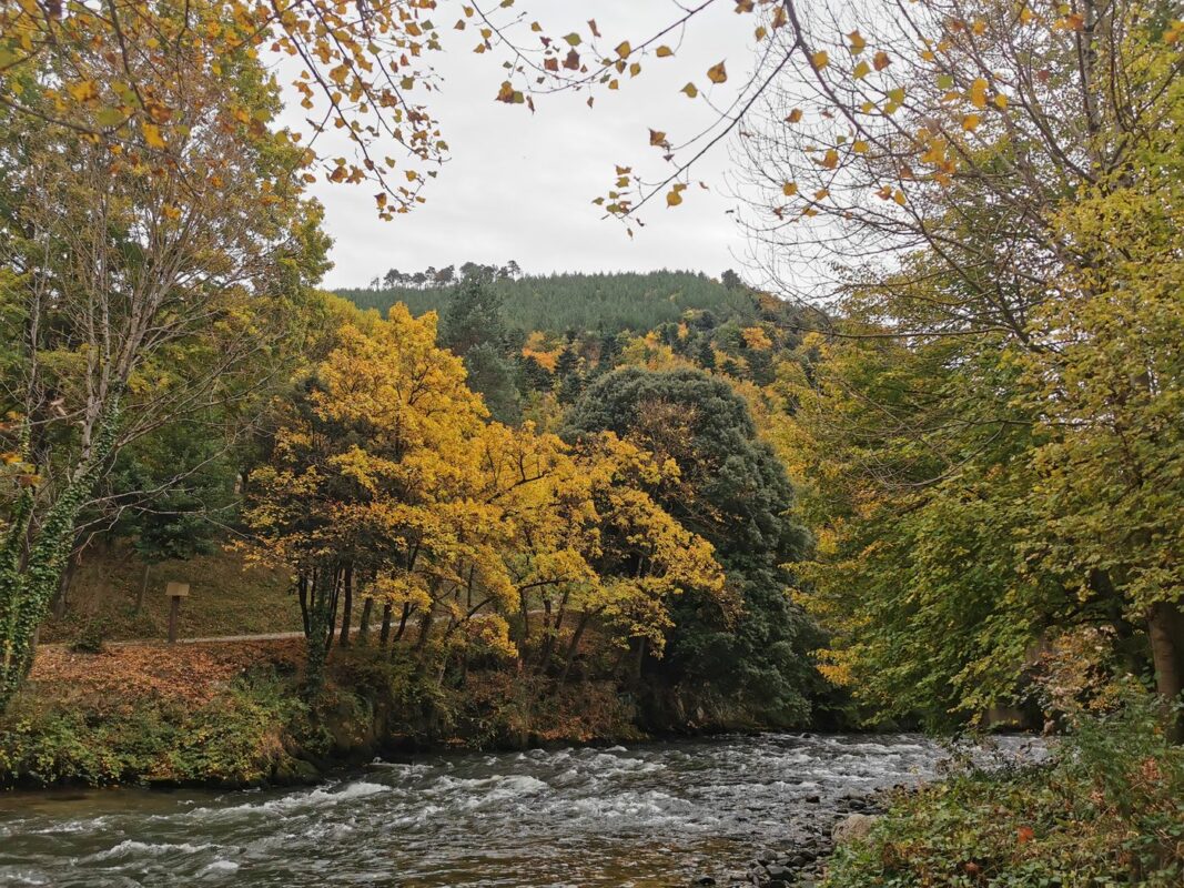 L'Aude longe le camping