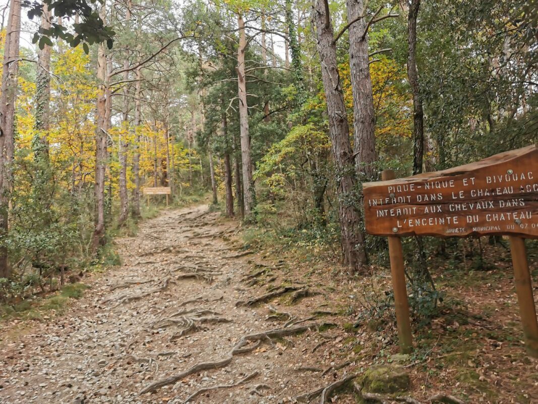 Le sentier qui monte au château