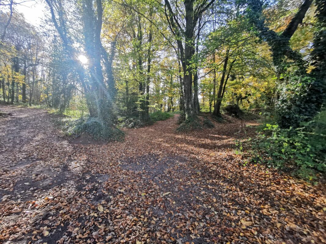 Un vrai labyrinthe