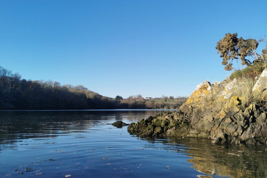 L'eau calme dans une anse