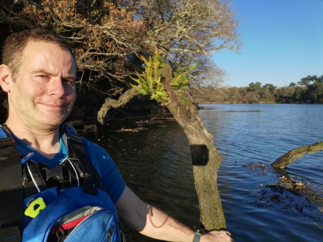 Fougère épiphyte sur une branche