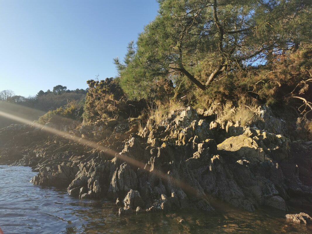 Bord de l'eau avec les Sapins (enfin bon, c'est des Pins...)