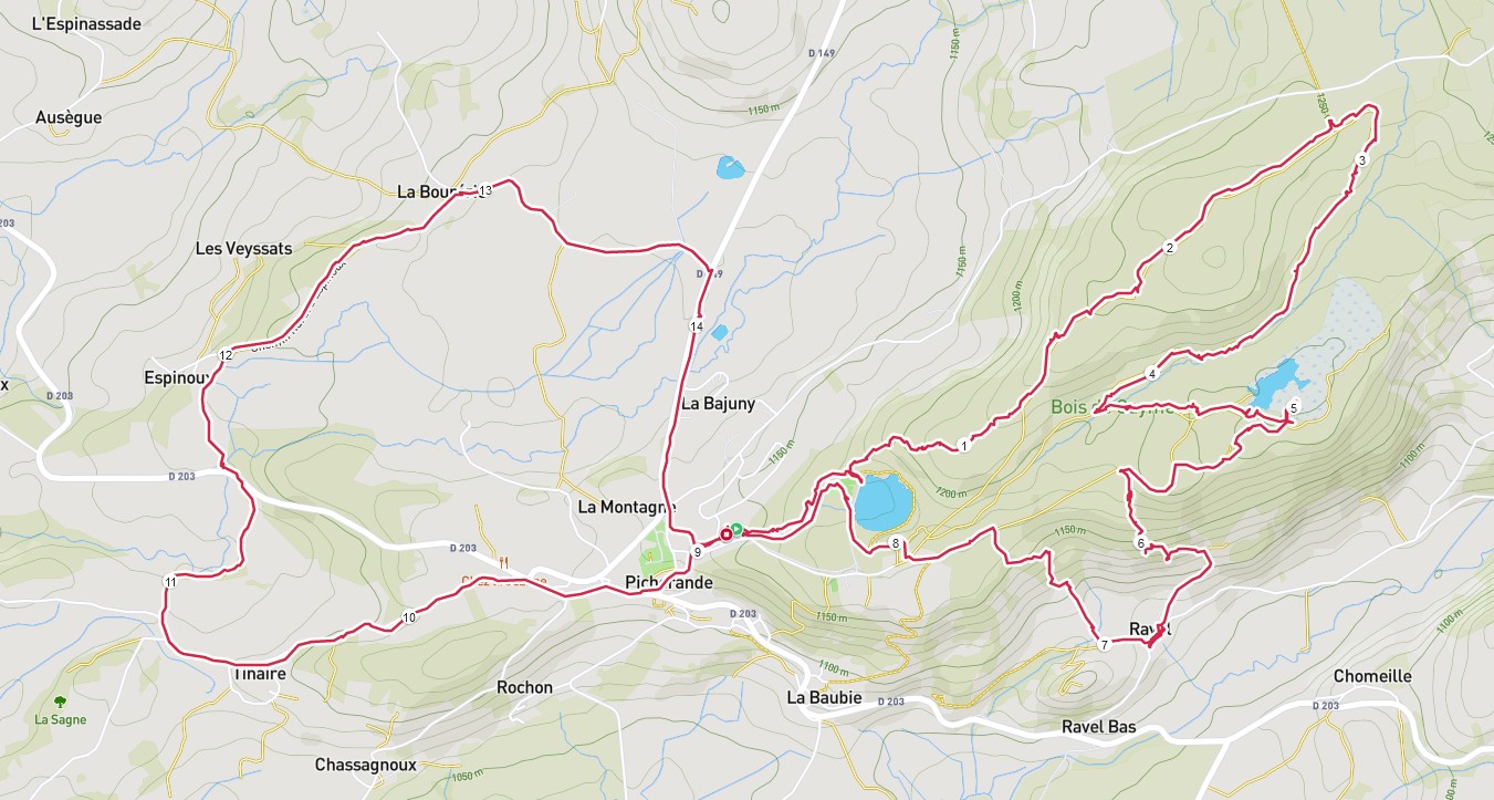 Carte Randonnée pédestre et raquettes du 31 janvier