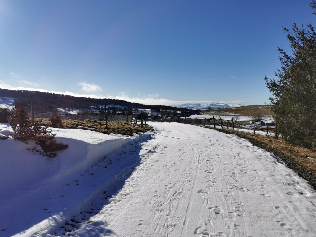 Piste de ski