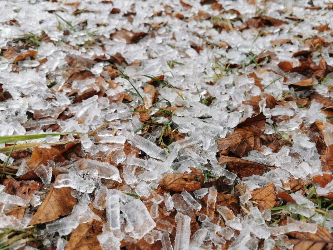 Il pleut des croutes de branche gelé