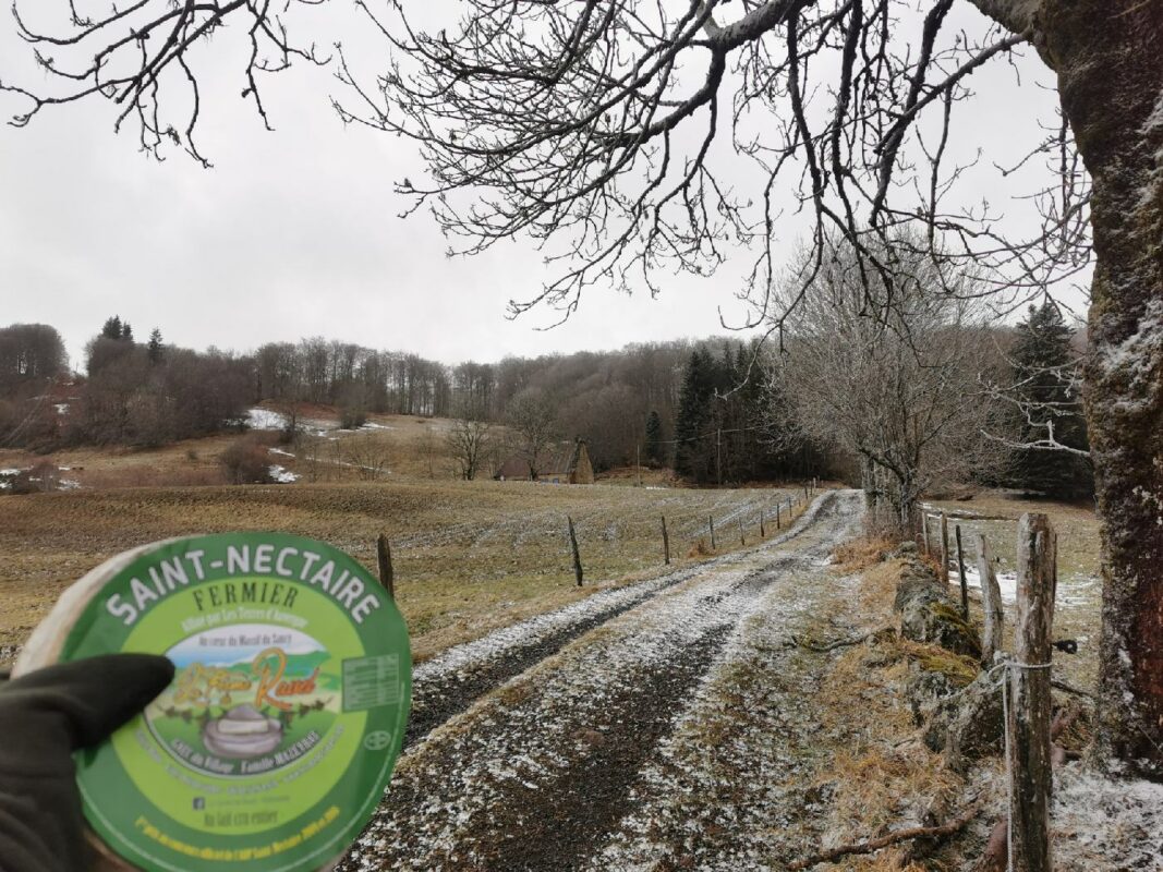 Le St Nectaire acheté à la ferme juste sous ces alpages