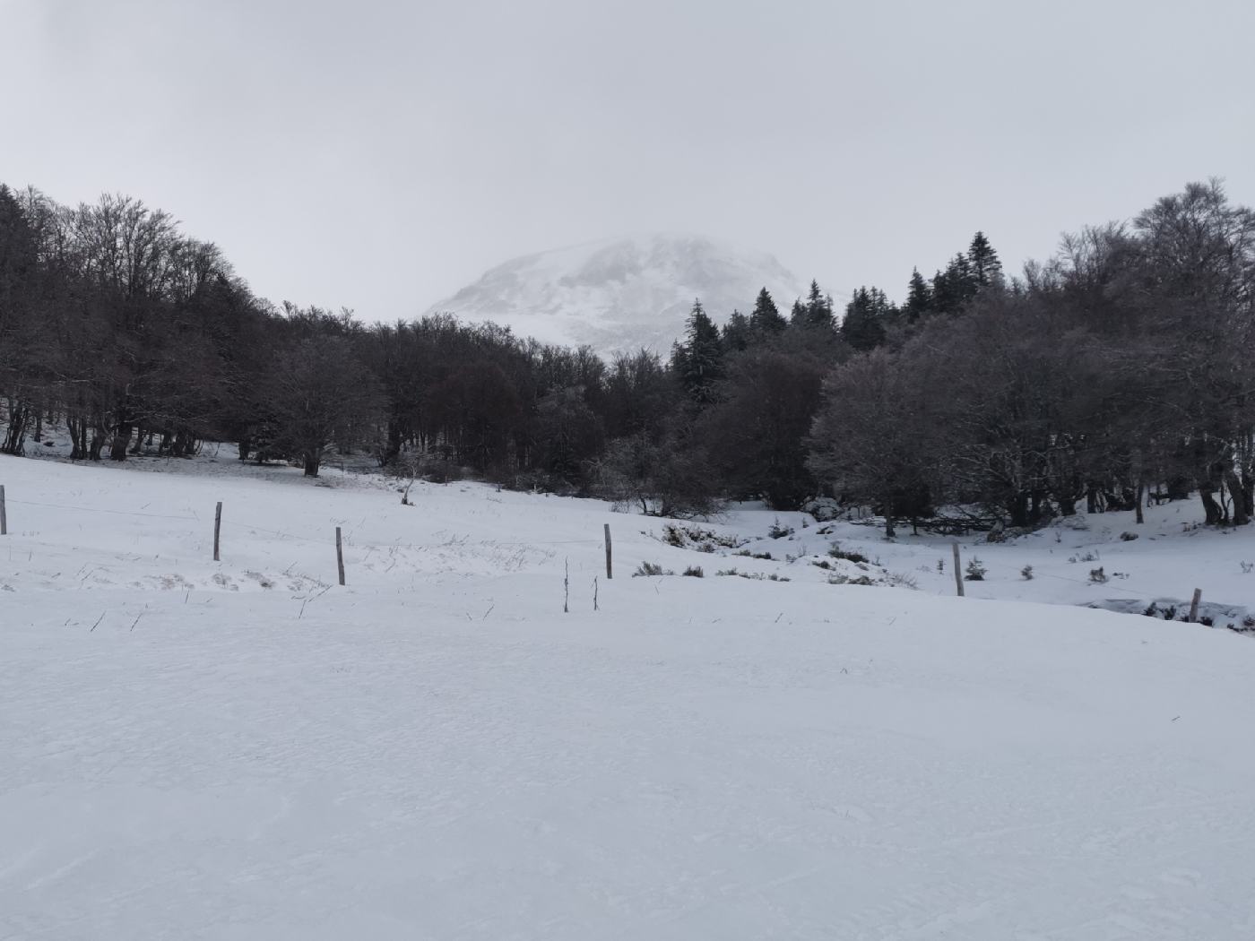 Là haut c'est dans les nuages