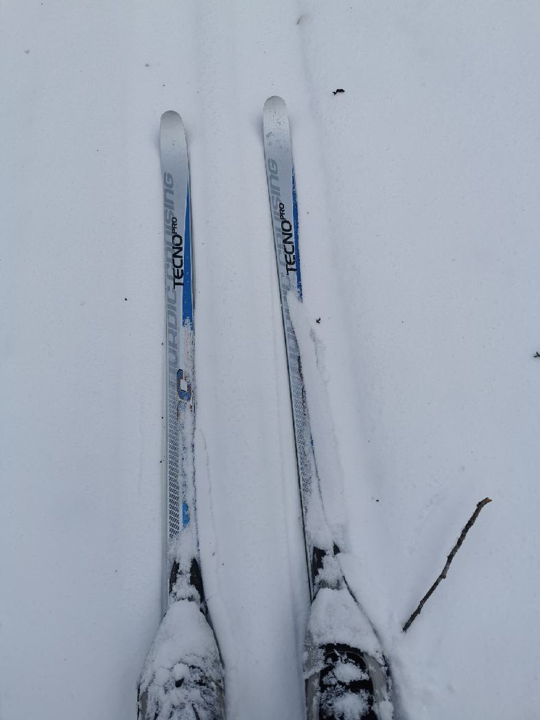 Les skis et chaussures couverts de neige fraiche