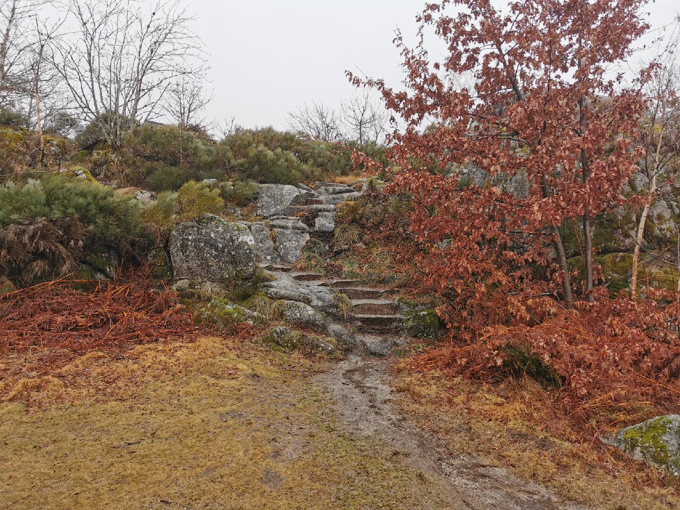 La roche des fées