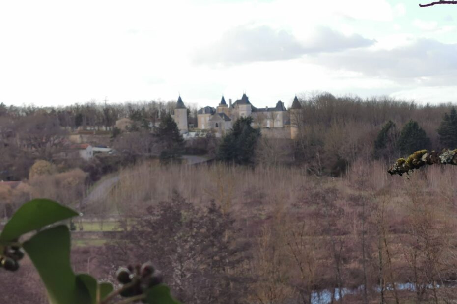 Château à Quinçay