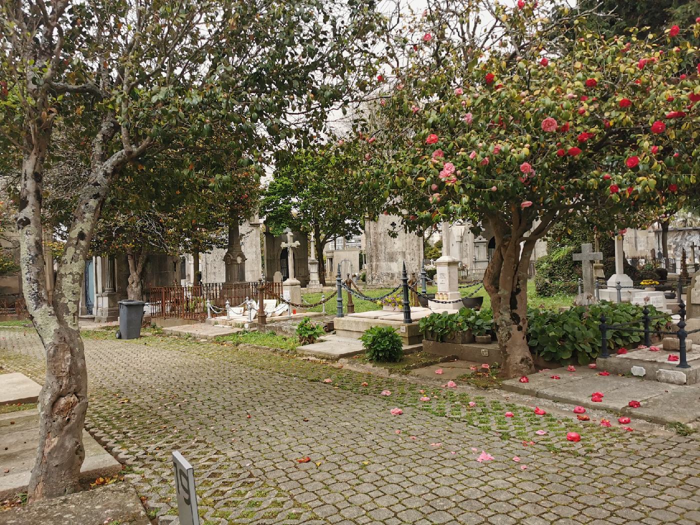 Cimetière Agramonte, sorte de père lachaise local