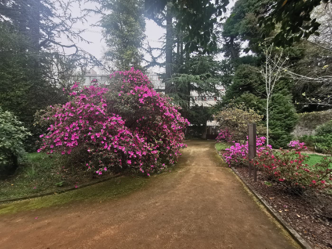 Parc Botanique