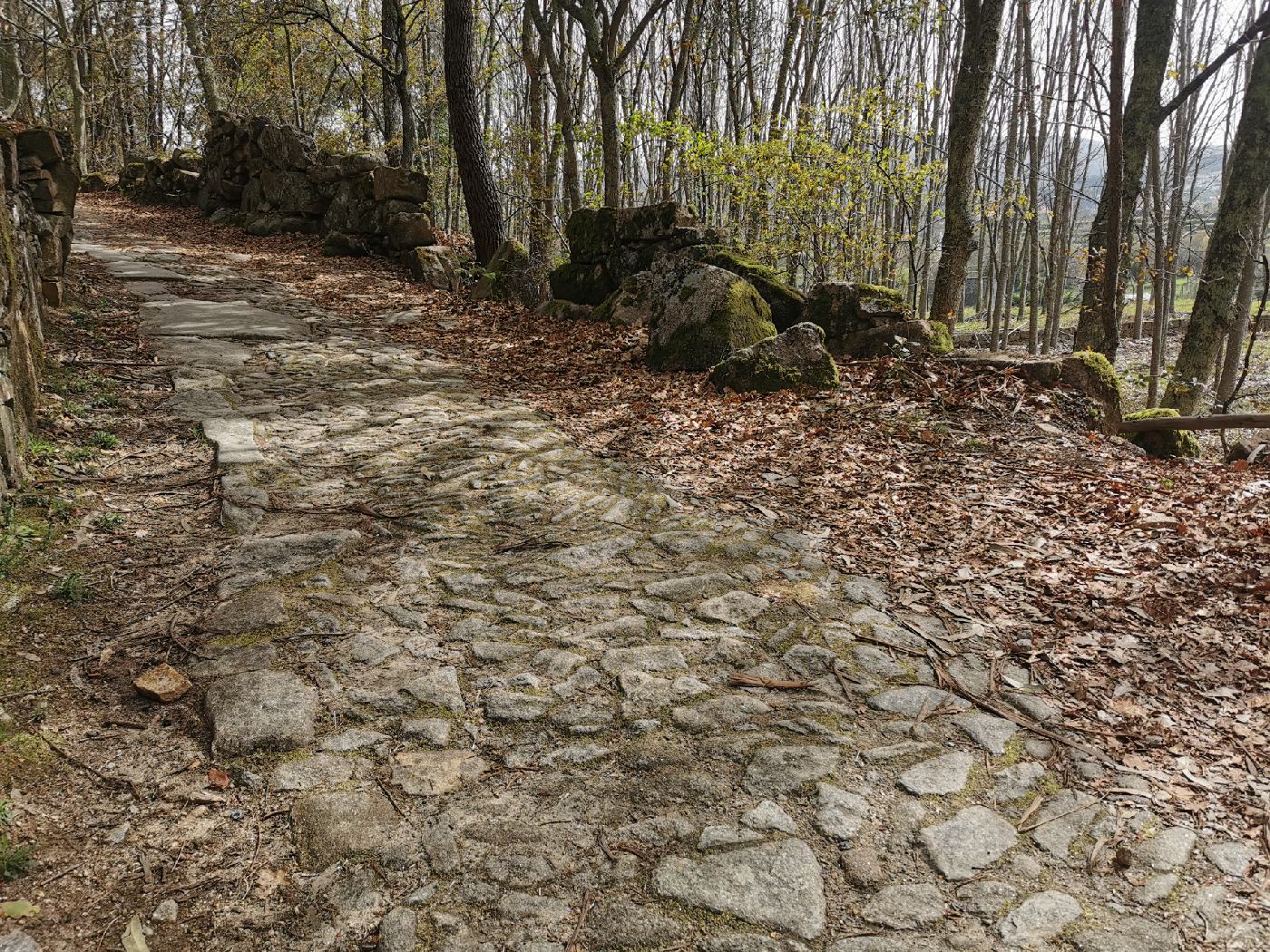 Chemin pavé