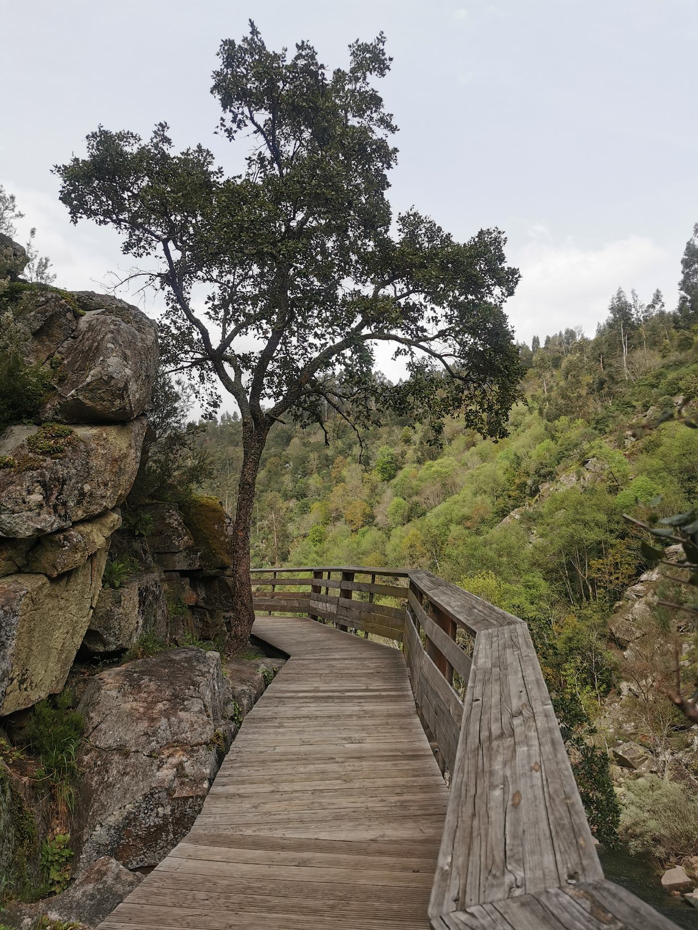 Passerelle, plus plat en bas