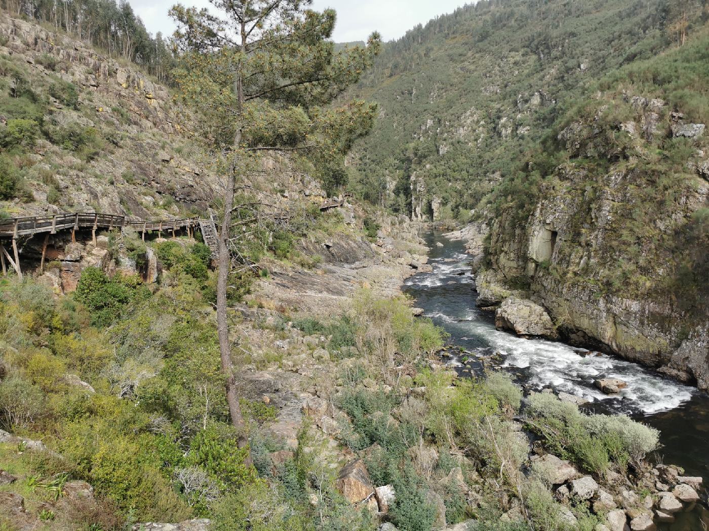 torrent et passerelles