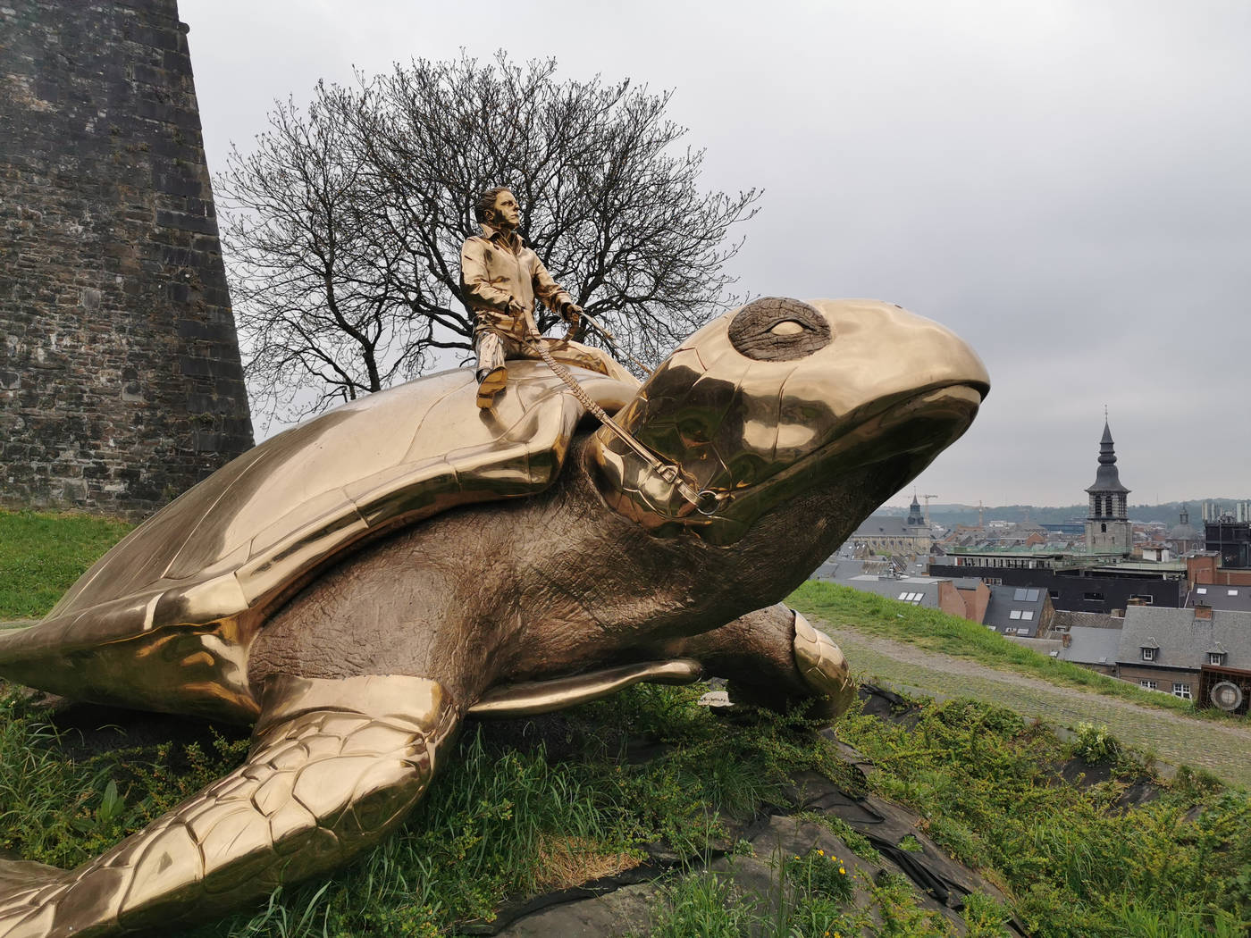 La tortue de Namur