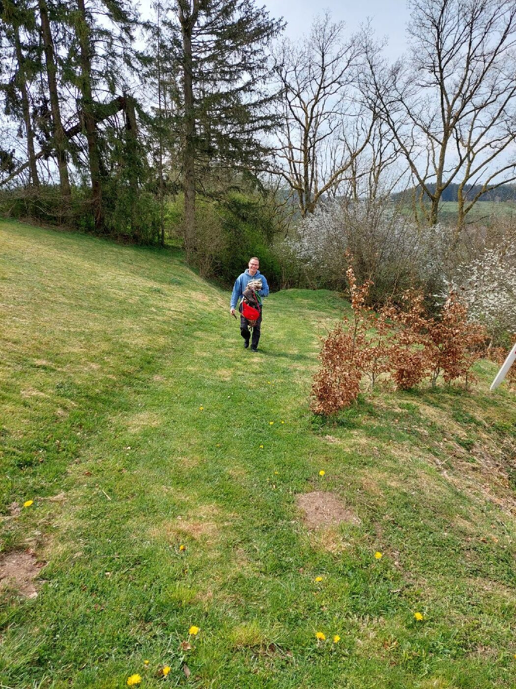 Le chemin herbeux qui arrive au chalet