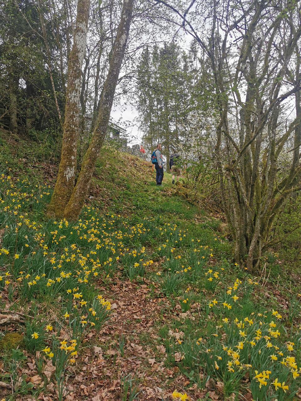 Le petit sentier qui mène au châlet