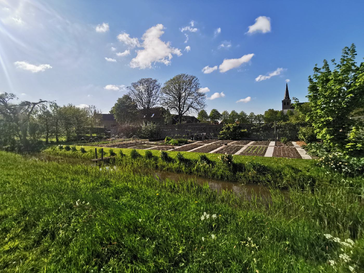 Petit potager