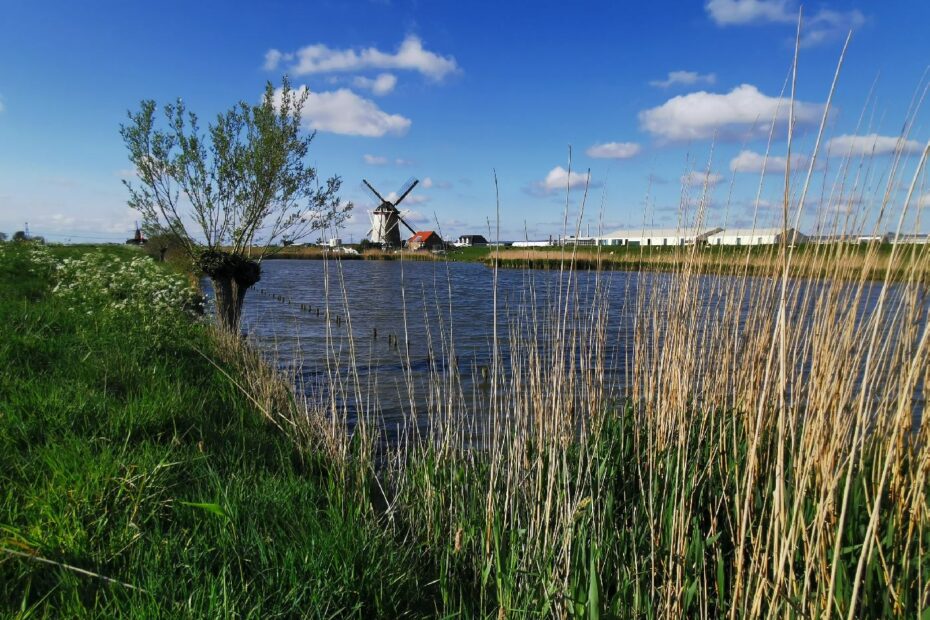 Paysage typiquement Hollandais