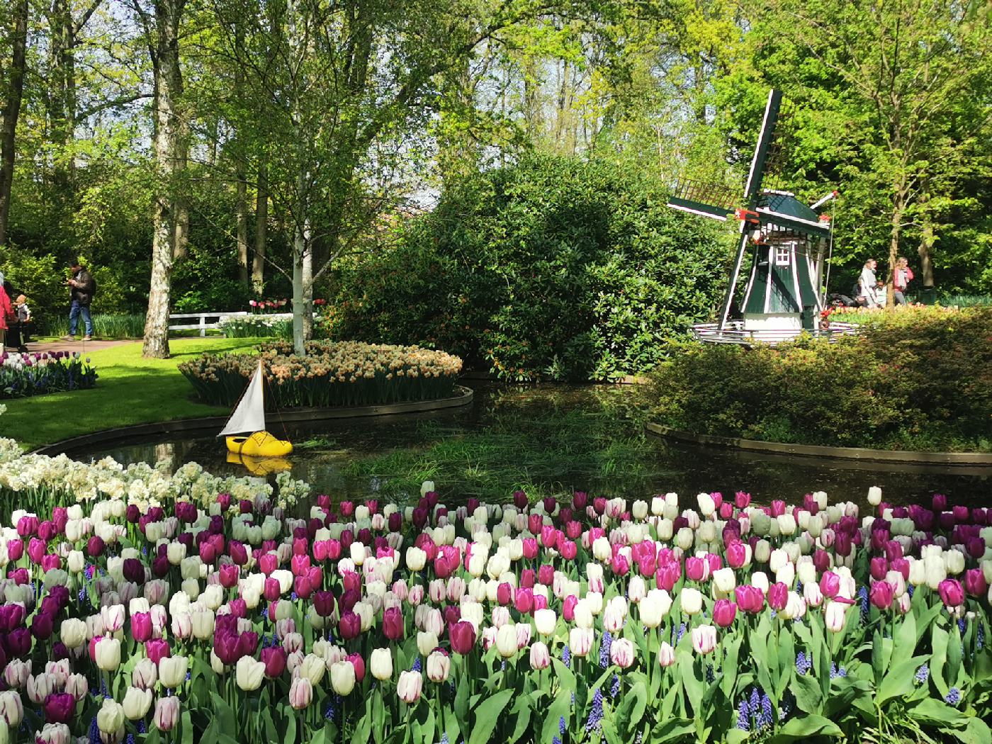 Moulin, bateau, tulipes