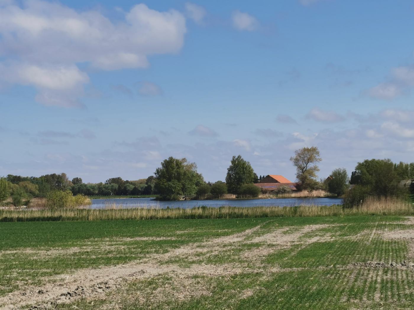 Etang vers la dune fossile