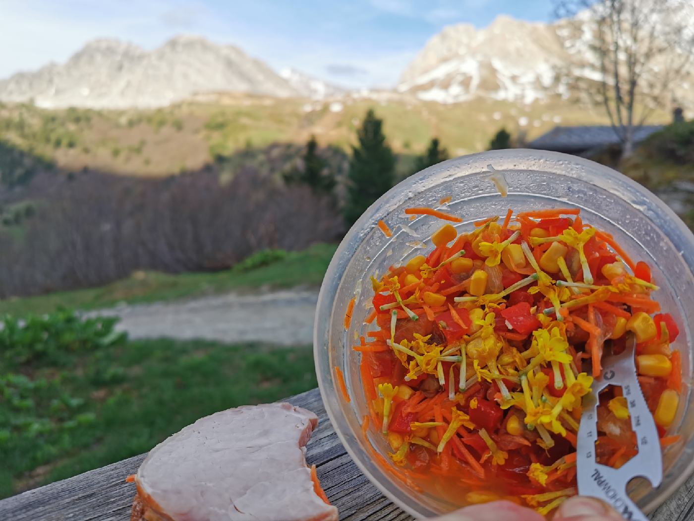 Premier repas : salade avec citron du jardin et fleur de primevères.