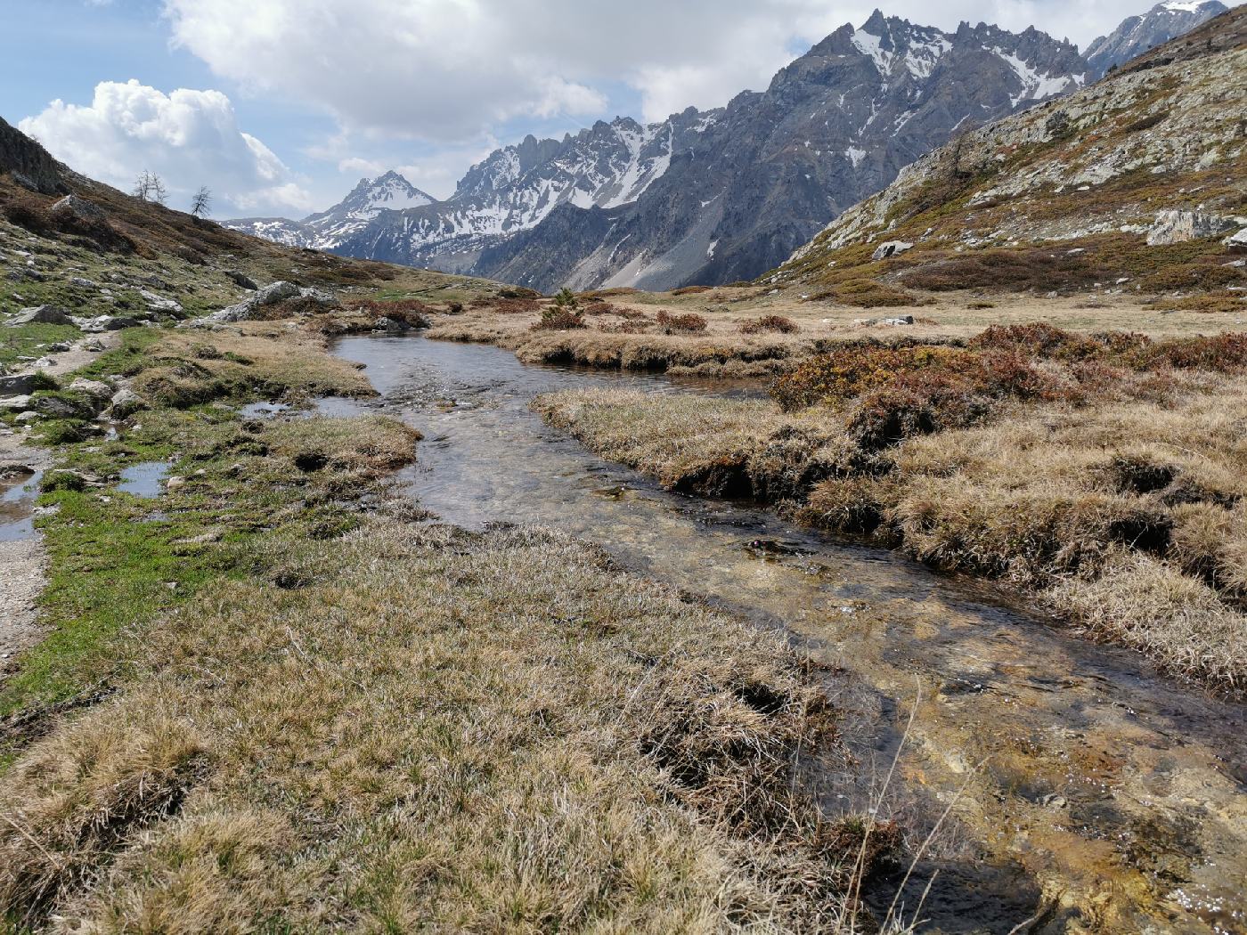 En descendant les cours d'eau se rejoigne, le sol est très humide