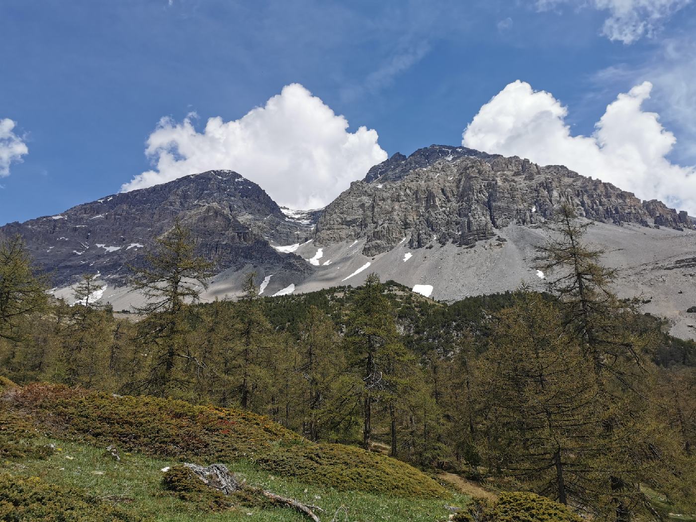 Minéral et végétal